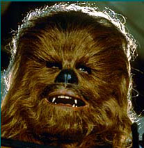 chewie.jpg